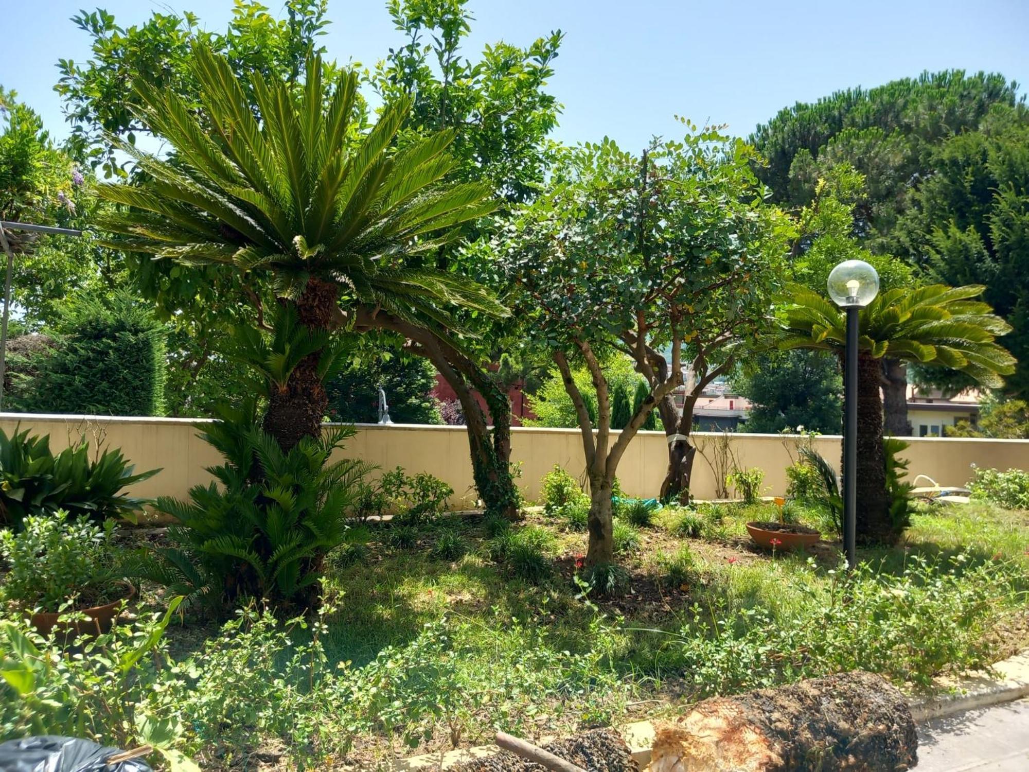 Villa Maria Cristina D'Amico Cava deʼ Tirreni Buitenkant foto